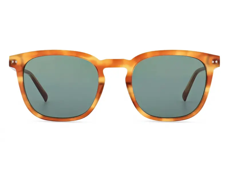 Morel Panama 2. TG04 5321