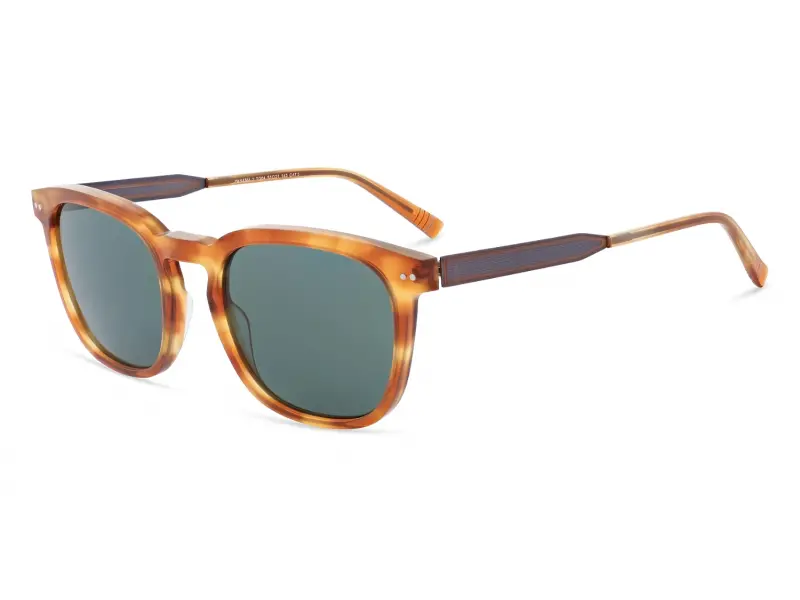 Morel Panama 2. TG04 5321