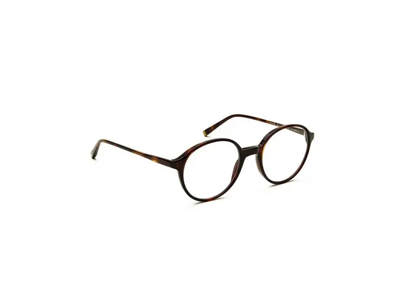 Moscot Devon Tortoise 48