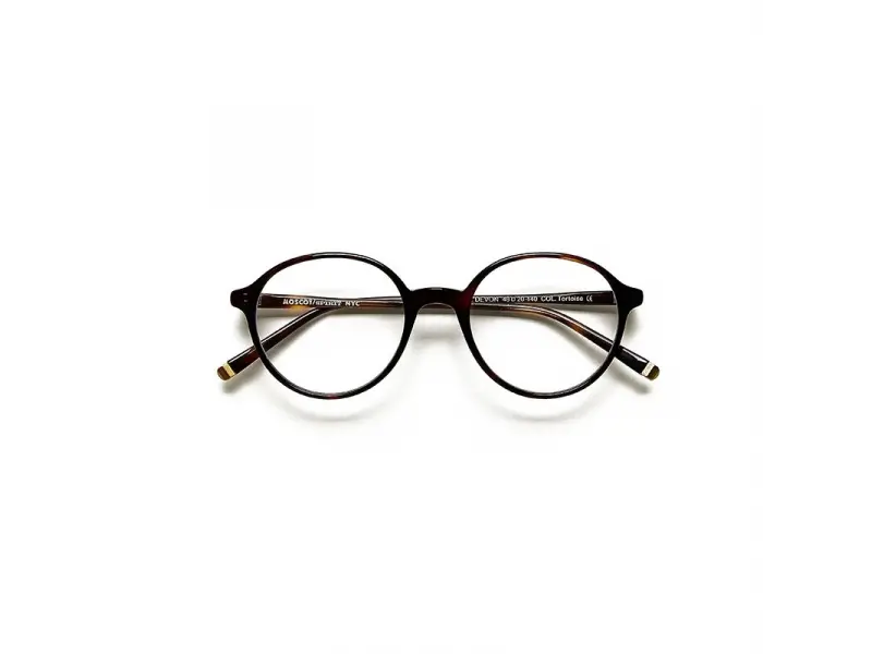 Moscot Devon Tortoise 48