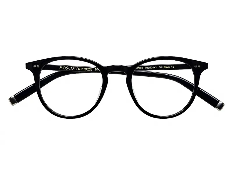 Moscot Jared Black 47