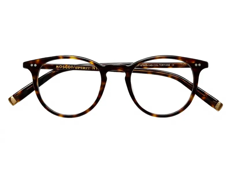 Moscot Jared Tortoise 47