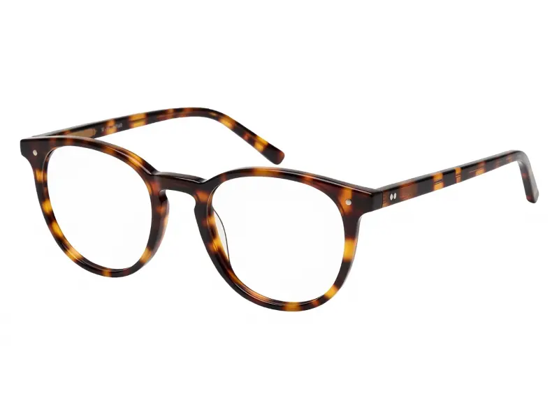 Moscot Jared Tortoise 47