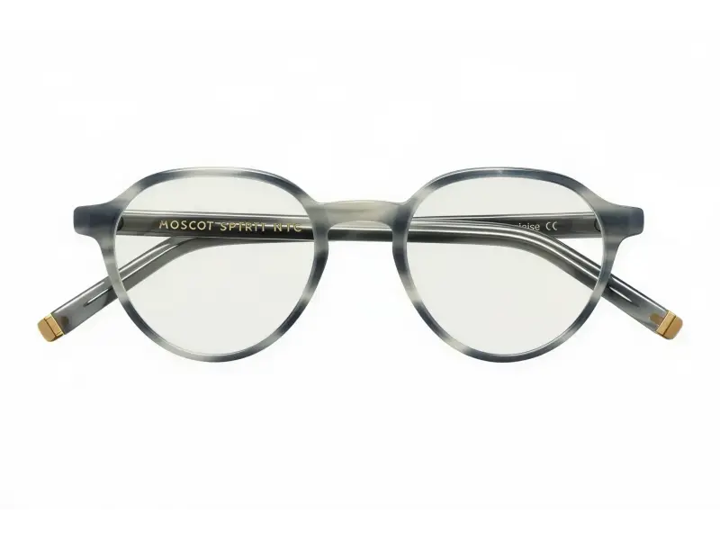 Moscot Les Grey Tortoise 50