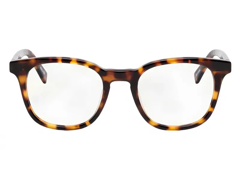 Moscot Loren Havana 49