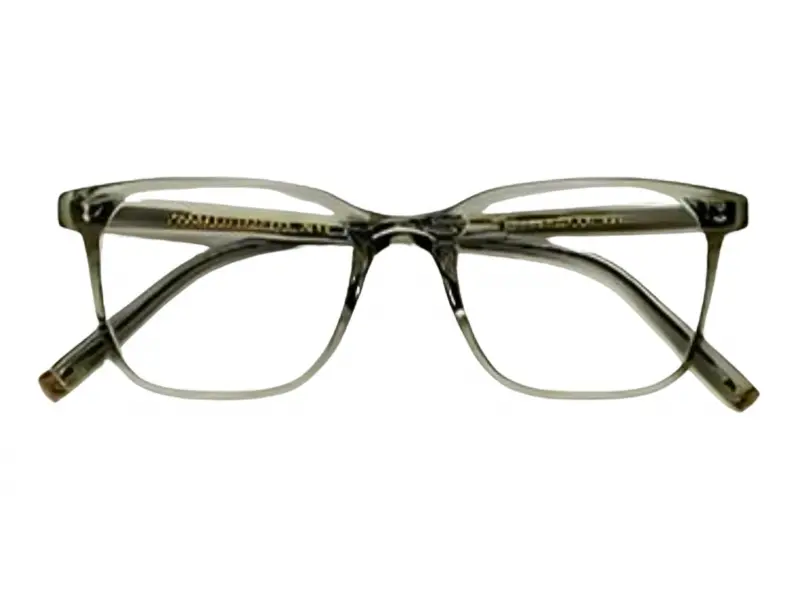 Moscot Travis Sage 50 1900-01