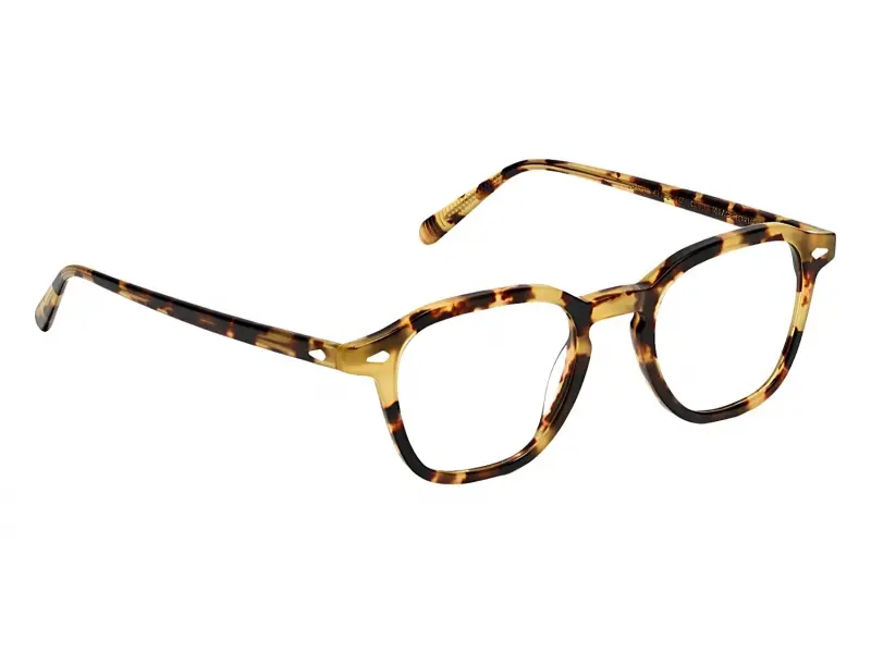 Moscot Vantz Heritage Tortoise 47