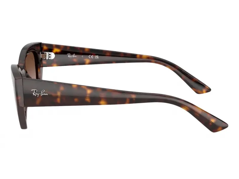 Ray-Ban RB 4430 135913 49