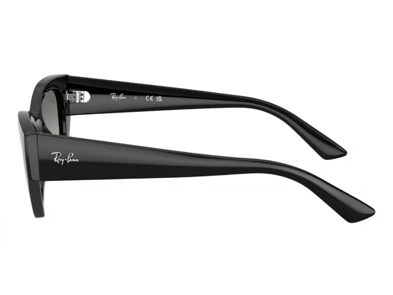 Ray-Ban RB 4430 667711 49