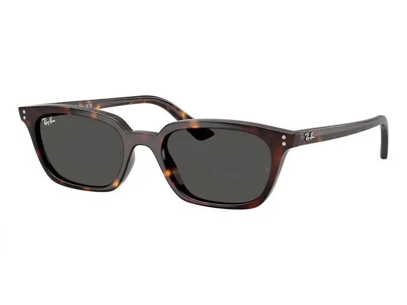 Ray-Ban RB 4456 135987 50