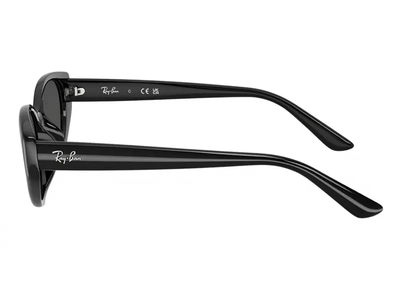Ray-Ban RB 4457D 667787 55