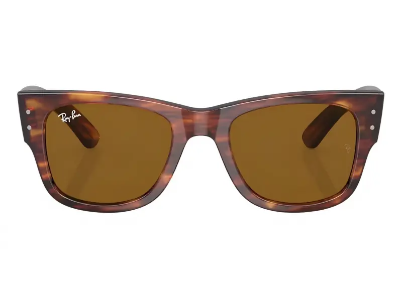 Ray-Ban RB0840S 954/33 51