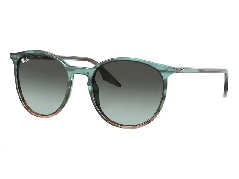 Ray-Ban RB2204 1394GK 54