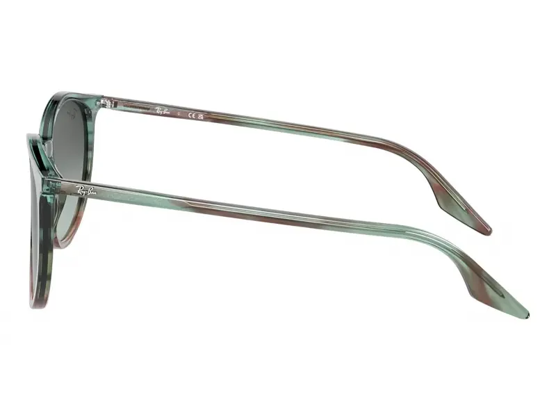 Ray-Ban RB2204 1394GK 54