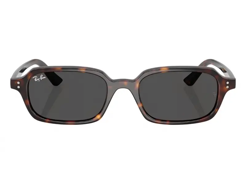 Ray-Ban RB4455 135987 52