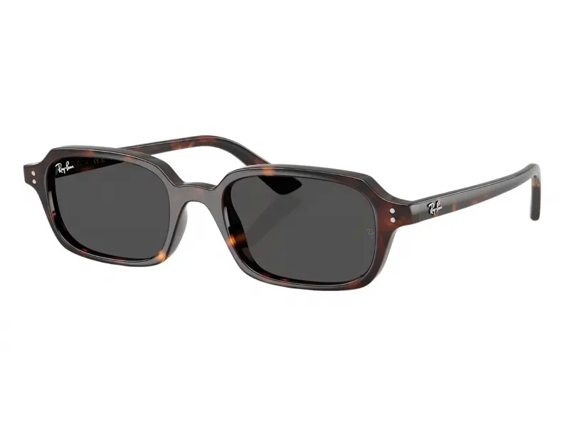 Ray-Ban RB4455 135987 52