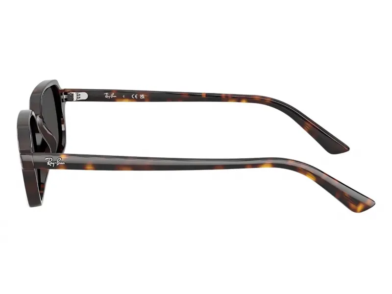 Ray-Ban RB4455 135987 52