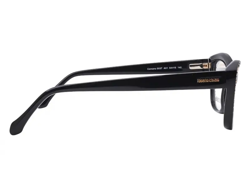 Roberto Cavalli 5037 A01 54
