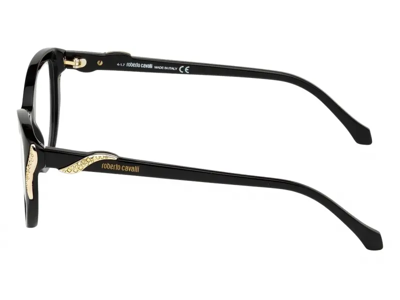 Roberto Cavalli 5055 001 53