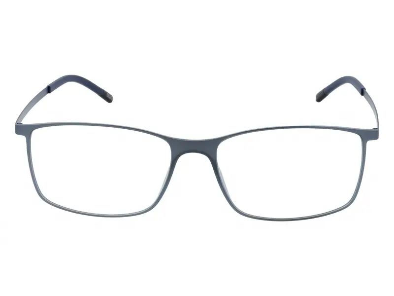 Silhouette 2902/40 6051 55/17