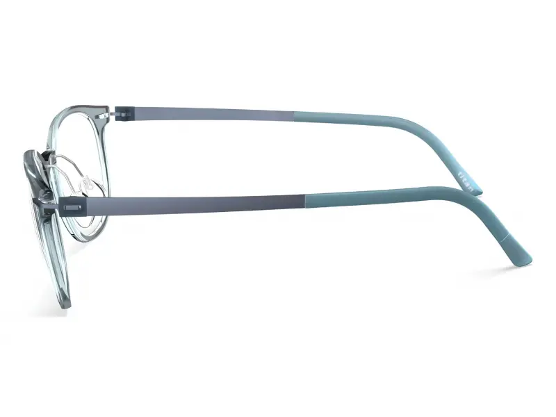 Silhouette 2938 75 4510 50