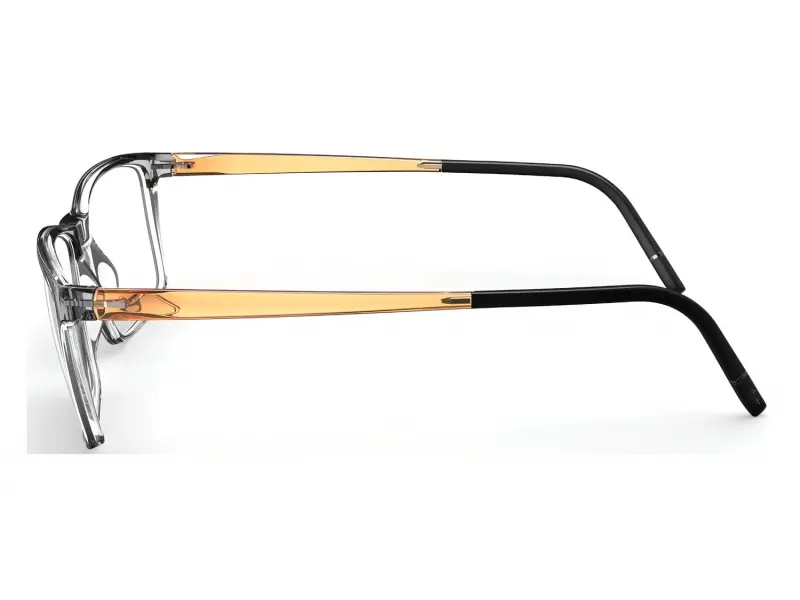 Silhouette 2956/75 6660 55/16