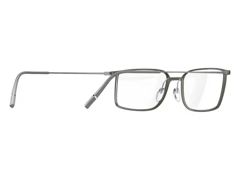 Silhouette 2984/75 5060 54/19 1588