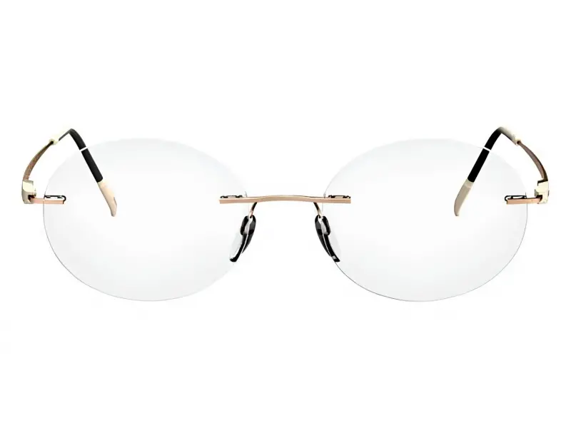 Silhouette 5502/BT 8540 49