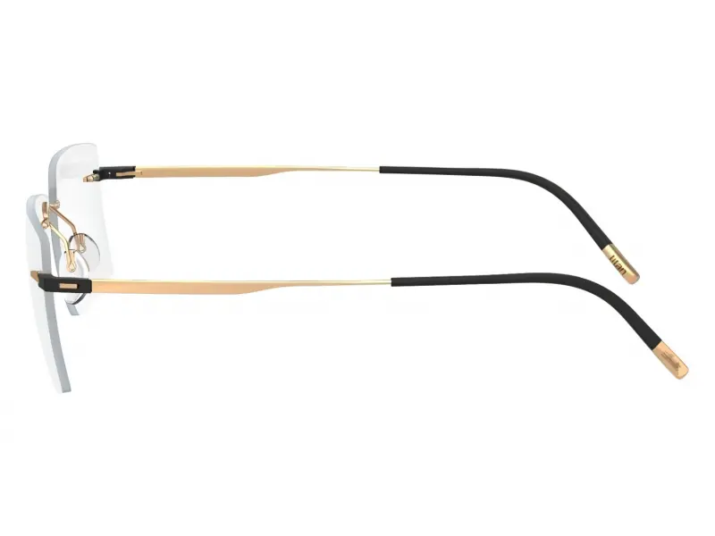 Silhouette 5516/DF 7530 54