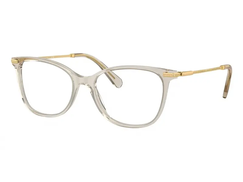 Swarovski SK2010 3003 54