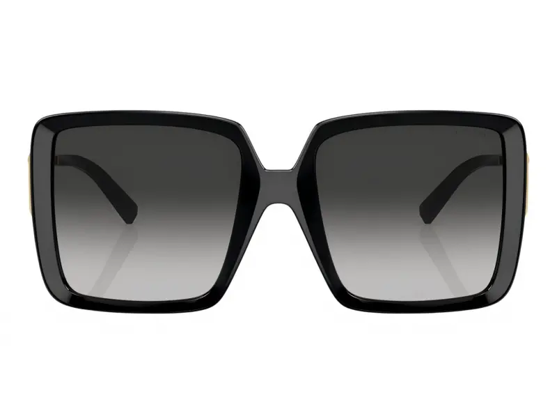 Tiffany & Co 4212U 80013C - 55