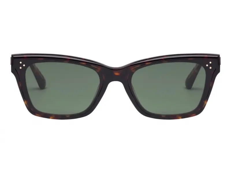 Vanity Effect Comet Sun Tortoise