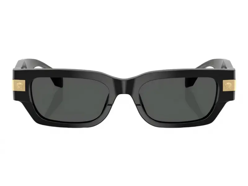 Versace VE 4465 GB1/87 53