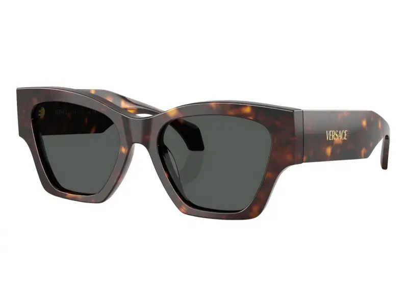 Versace VE 4492U 108/87 - 53