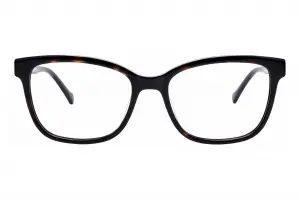 Alexander Wintsch AW360 C3