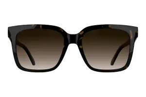 Calvin Klein Jeans 25624S-242 Dark Havana