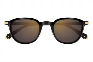 Cartier CT0541SA 005