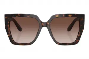 Dolce & Gabbana 4438 502/13