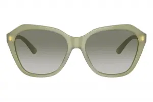 Emporio Armani EA4221 61168E 56