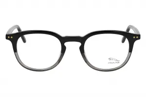 Jaguar 31710 5098 4722