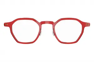 Lindberg NW6654 C12 GT 44 804