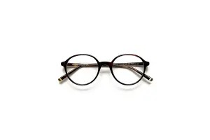 Moscot Devon Tortoise 48