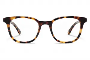 Moscot Loren Havana 49