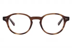 Moscot Petie Dark Blonde 49