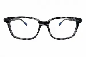 New York Yankees NYAM029 C26