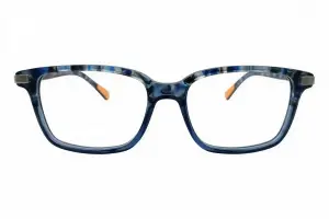 New York Yankees NYAM029 C66