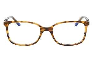 New York Yankees NYAM032 C76