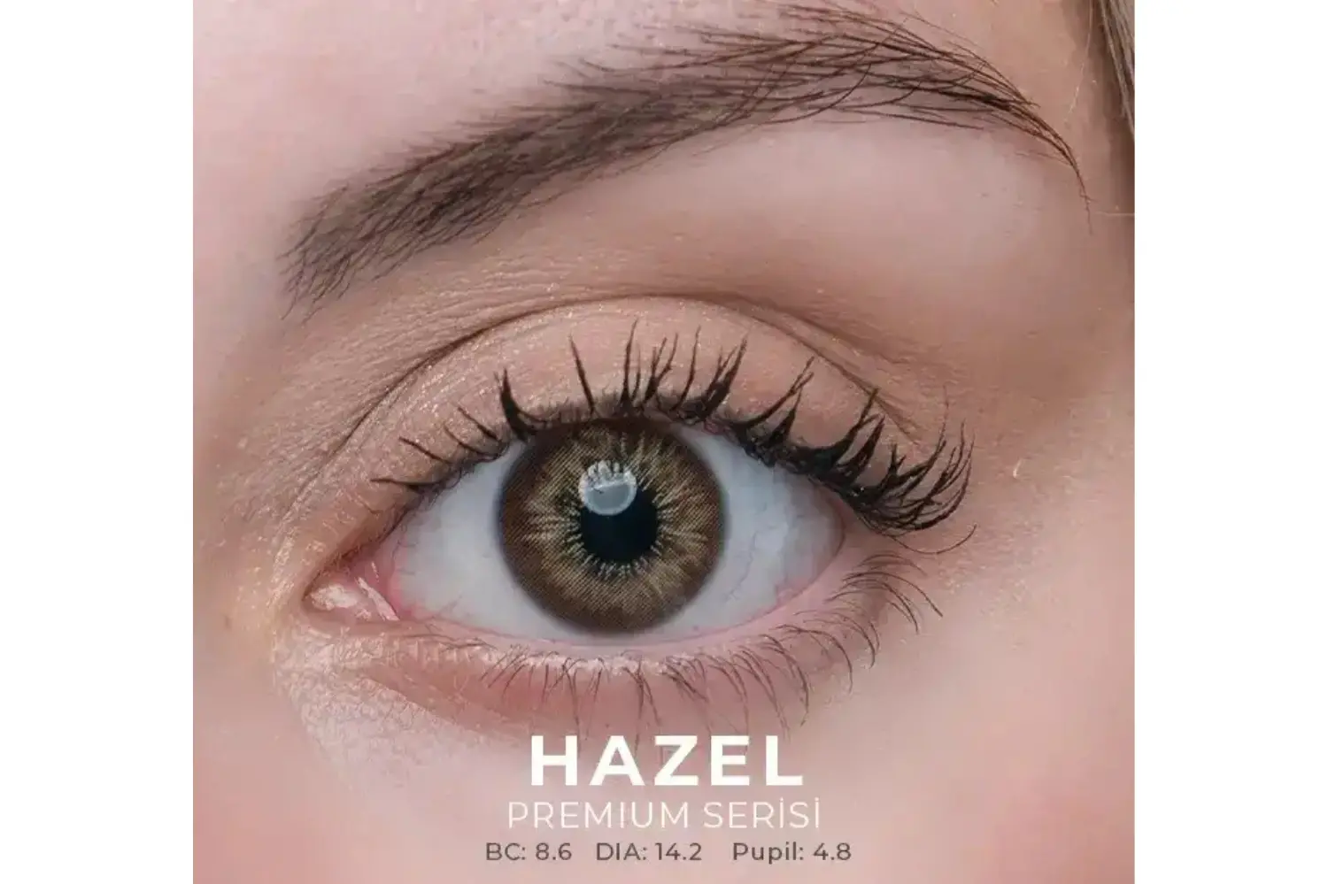 HAZEL