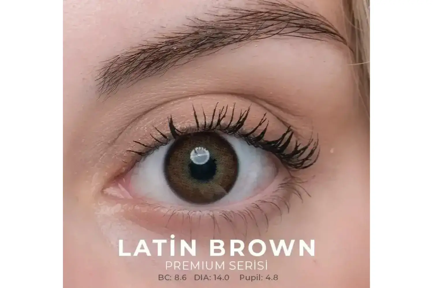 LATİN BROWN
