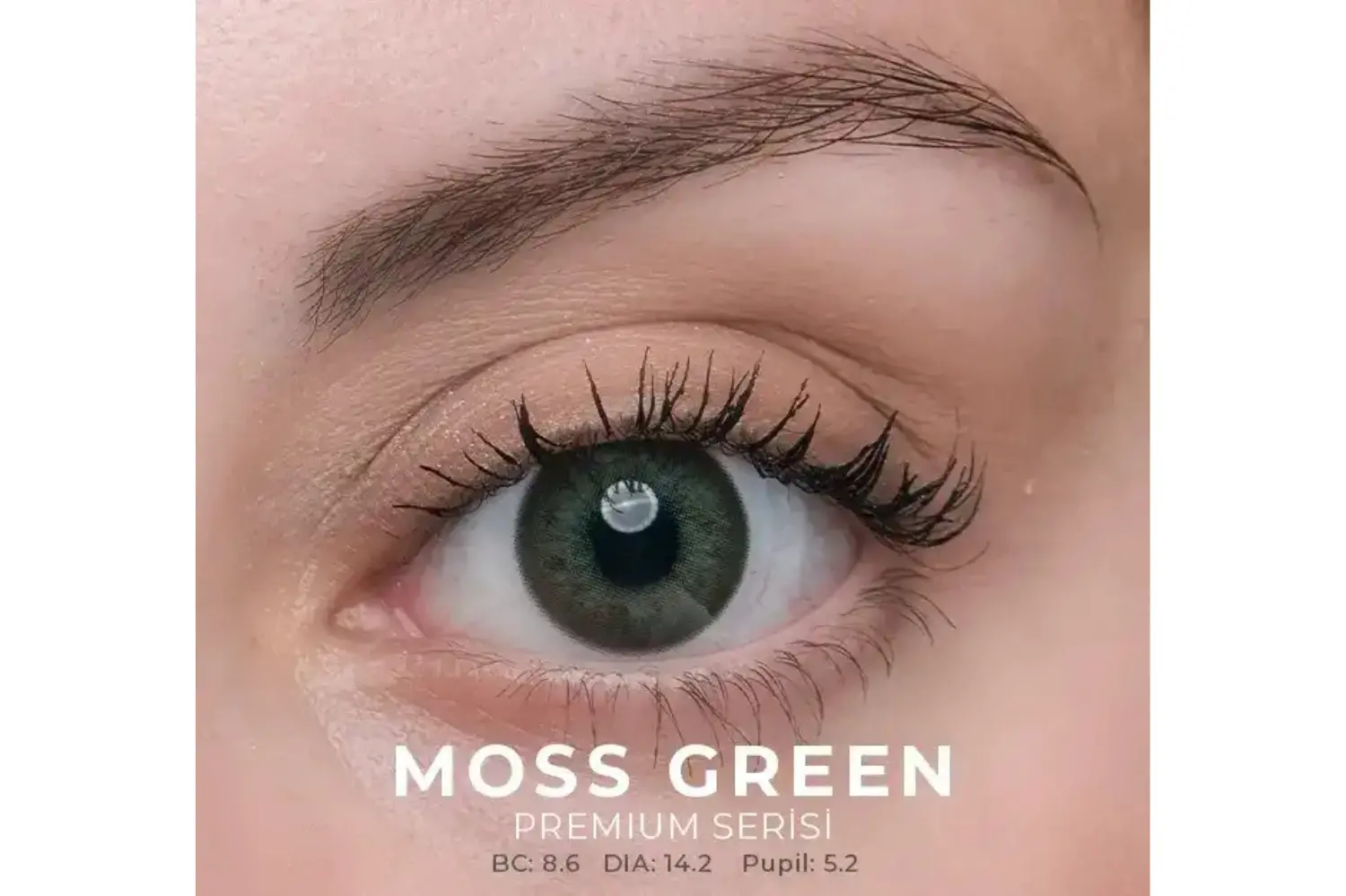 MOSS GREEN